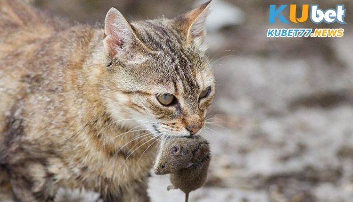 Hãy tin tưởng vào khả năng của bản thân