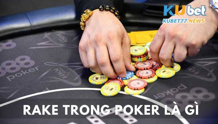 Rake trong Poker là gì? Chỉ 5% người chơi chú ý đến điều này